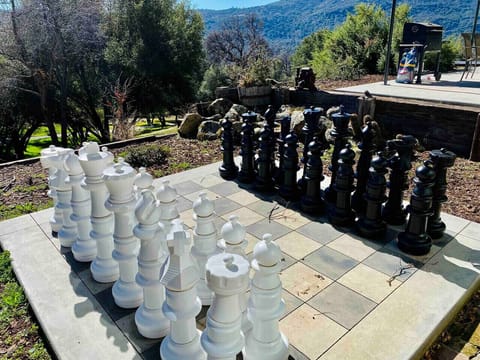 Life Sized Chess