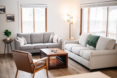 Comfortable sitting area with one queen pull out couch