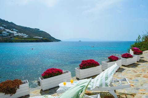 BLUE LUXURY HOUSE  SEA FRONT | Terrace/patio