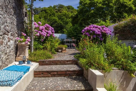 Morning coffee sun trap spot!