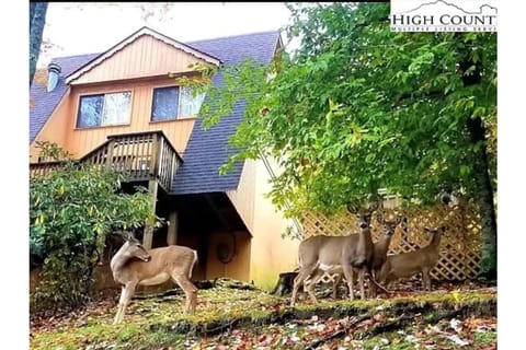 Cedar Village condo complex -  back porch