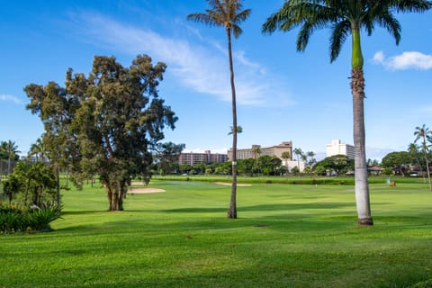 Well-maintained grass