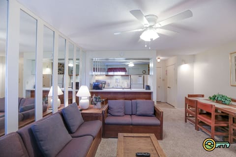 Living room & kitchen