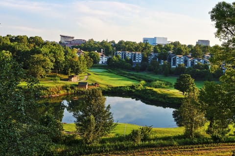 A look out of our enclosed Patio onto the beautiful Thousand Hills Golf course. 