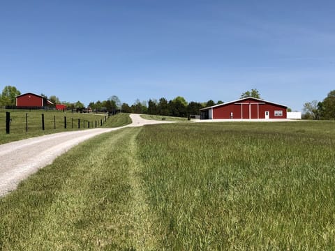 Welcome to our farm!