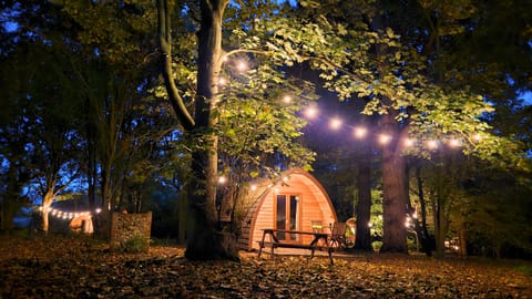 Fairy Lights and Decking