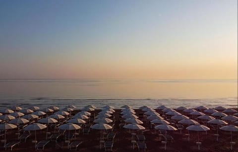 Sun loungers, beach umbrellas