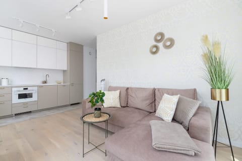 A bright space of a cosy living room with a sofa bed. The living area is connected to the kitchenette.