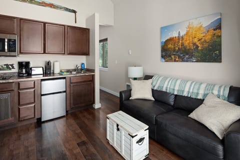 Kitchenette and Living Room