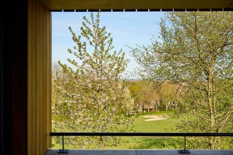 View from Holiday Home [summer]