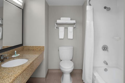 Premium bedding, down comforters, in-room safe, desk