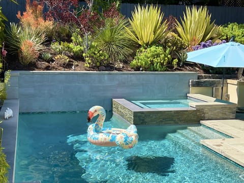 Beautiful pool and spa with outdoor BBQ.