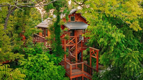 Treehouse Exterior