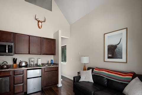 Kitchenette and Living Room