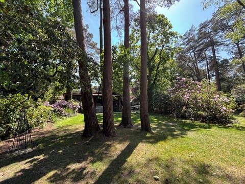 Karelia has gardens, mature Rhodos and pines