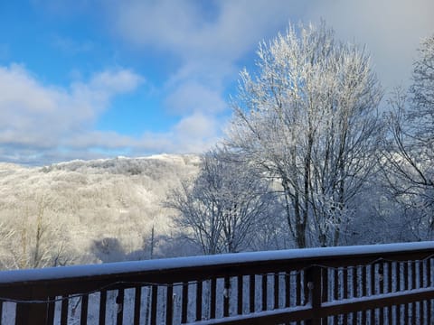 Sunny, winter morning