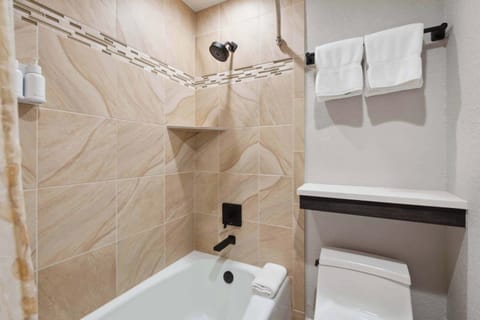 charter-d310-2988_54133235184_o