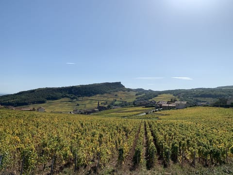 Character house with view surrounded by vineyards House in Bourgogne-Franche-Comté