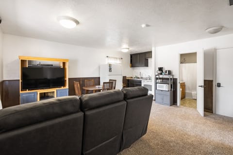 Economy House | Living area | LED TV, fireplace