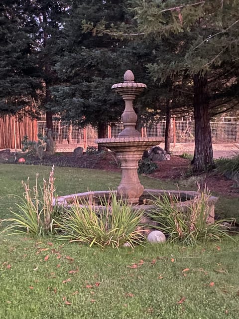 Front lawn with gorgeous 3 tier fountain