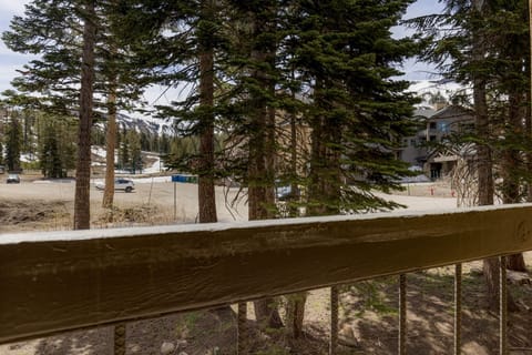 Tree, Fir, Handrail, Banister, Bench