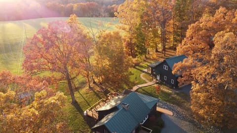 Cabin And Lodge