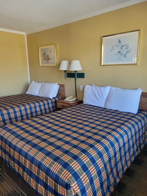 Economy Room | Free WiFi