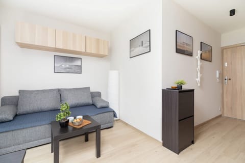 The living area features a sleek coffee table and a flat-screen television.