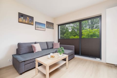 The double sofa bed in the living area provides comfortable sleeping space. 