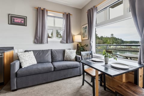 Pull out couch and dining area