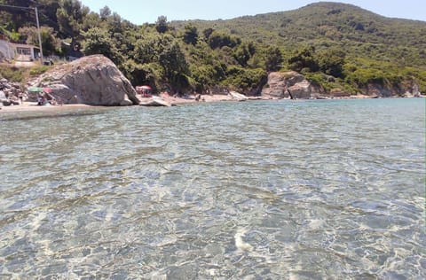 Apartment, 1 Bedroom, Smoking, Terrace | Beach
