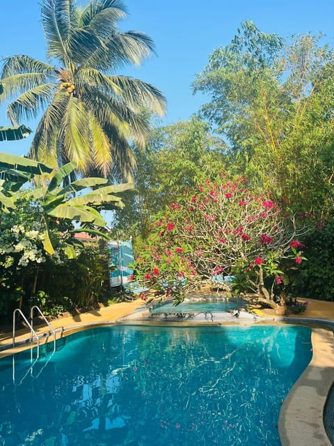 Outdoor pool, sun loungers