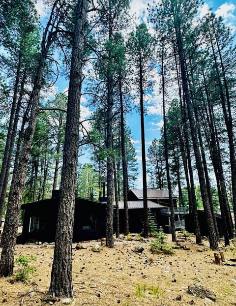 Spacious home on 1.23 acres of pines. 
