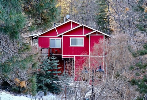 Red cabin in the woods