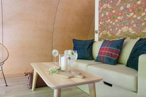 Luxury Cabin | Living area