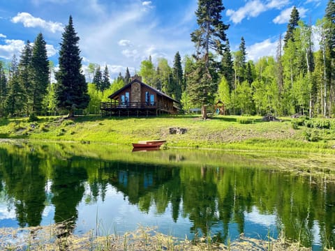 Guest are welcome to paddle canoe on the spring fed pond.