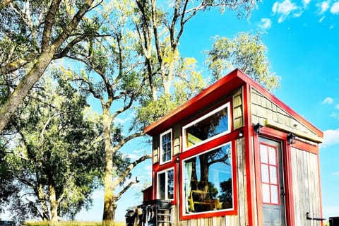 The Teeny Tiny House!