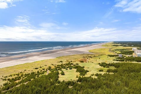 Welcome to Long Beach, the longest driveable  beach in the World!