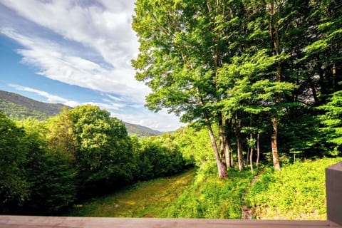 Beautiful view off the back porch