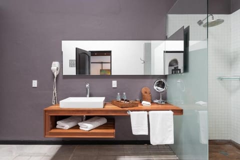 Suite Imperial Doble | Bathroom | Shower, free toiletries, hair dryer, towels