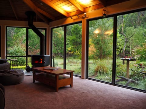 Cozy lounge room