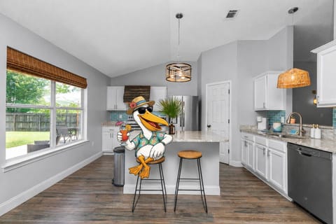 Welcome to the Pelican Rental!