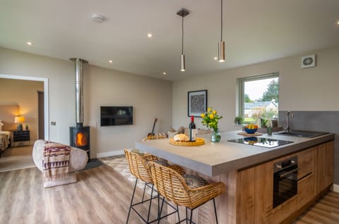 Premier Apartment, Ensuite (Lodge A (2-bed)) | Private kitchen