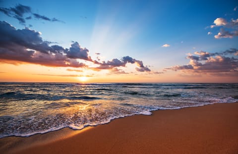 Carapace | Beach/ocean view