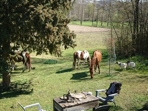 Property grounds