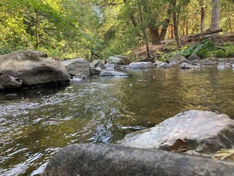 The creek in the backyard
