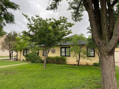 lots of outdoor space, fenced back yard in the back