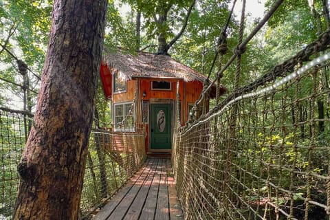 Exterior looking from the suspension bridge.