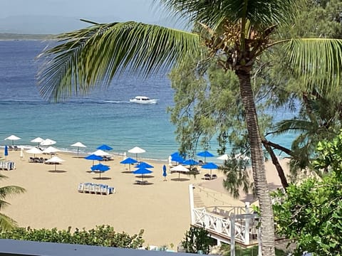 Playa Alicia Beach 