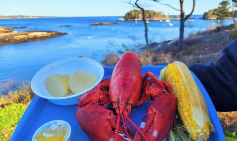 Bring back lobster dinner from Five Islands and enjoy it on the deck!